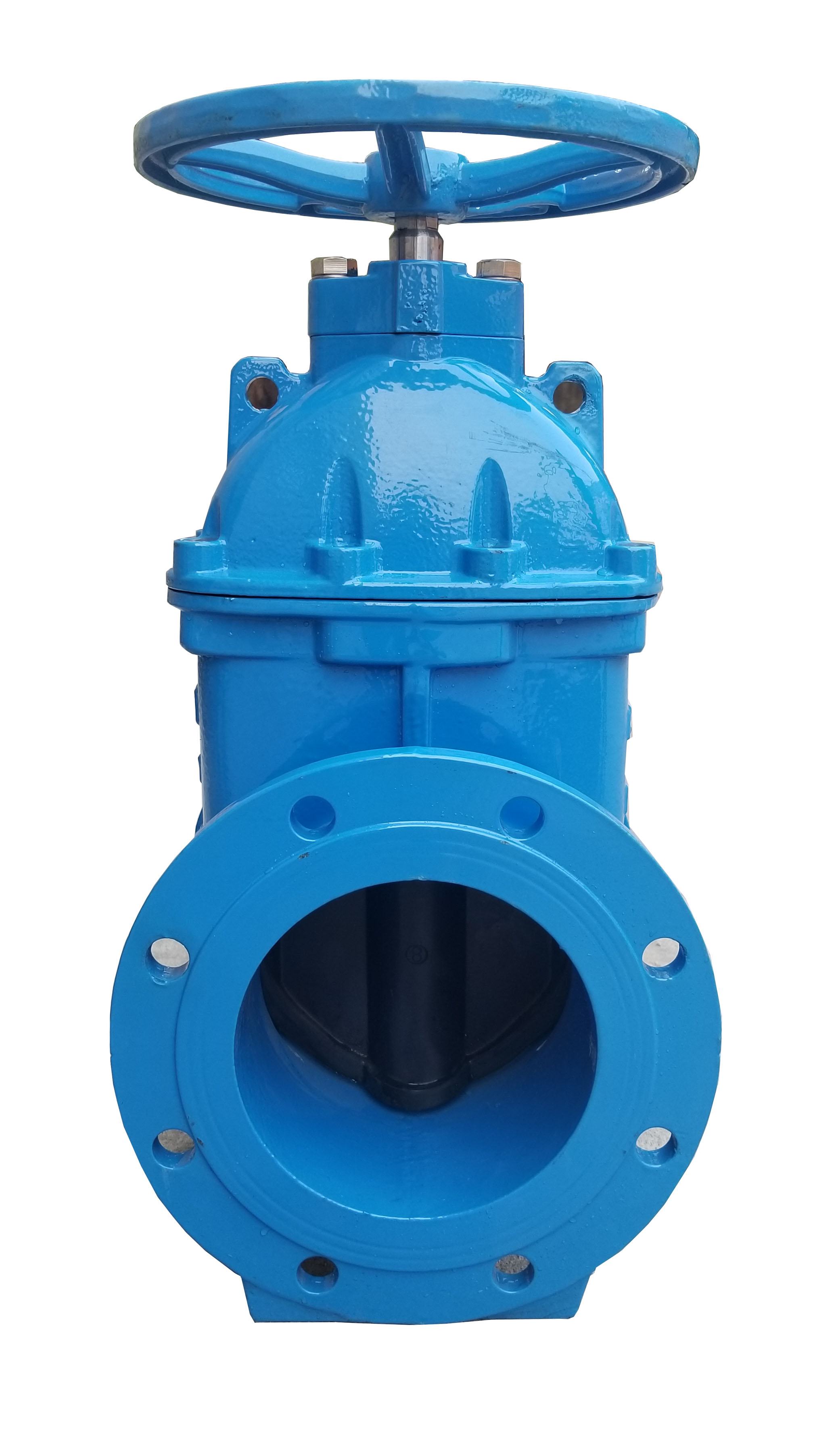 Ductile Iron Gate Valve - Hcl Trading And Service Co., Ltd